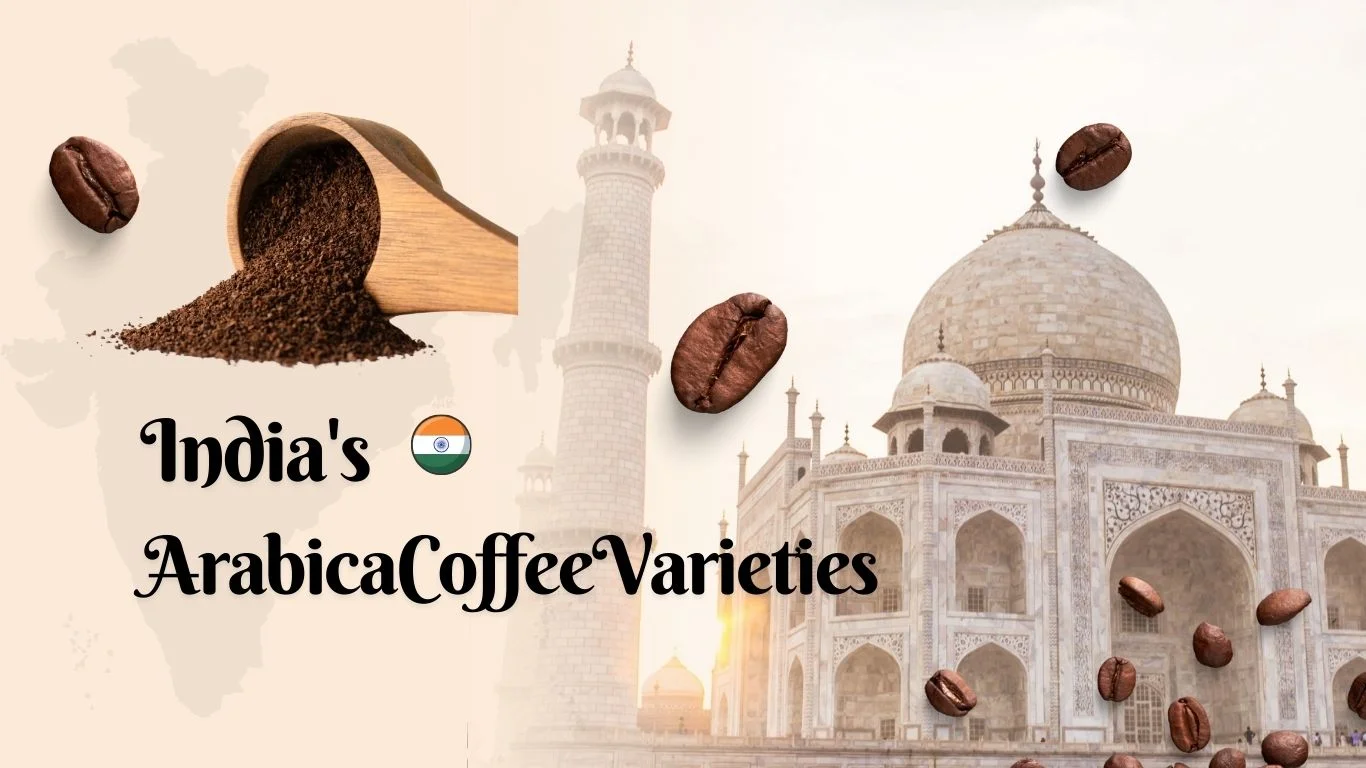 India’s Arabica Coffee Varieties: A Rich Tradition of Specialty Coffee