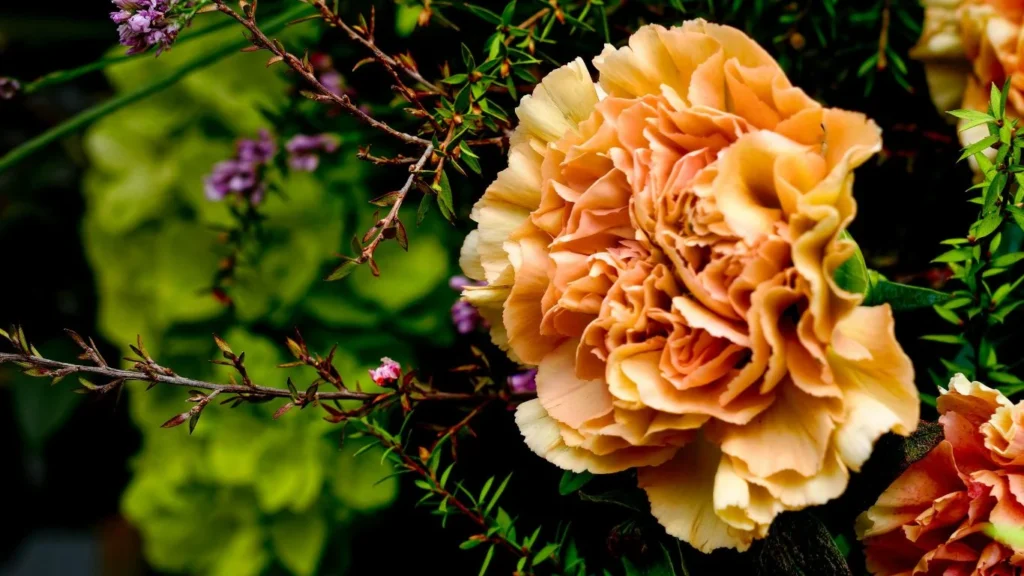 The Royal Bloom