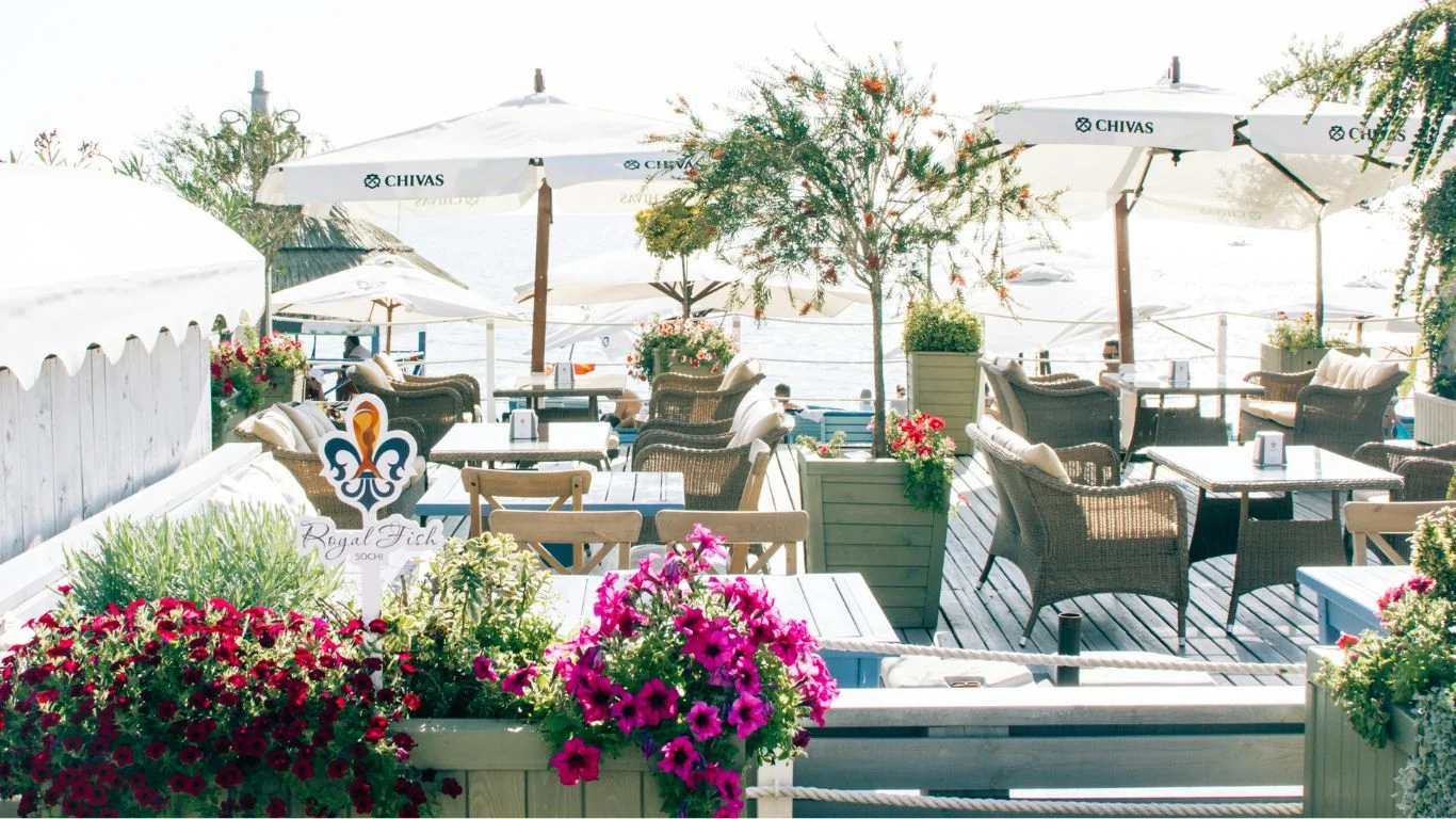 The Royal Bloom: The Perfect Blend of Elegance and Nature