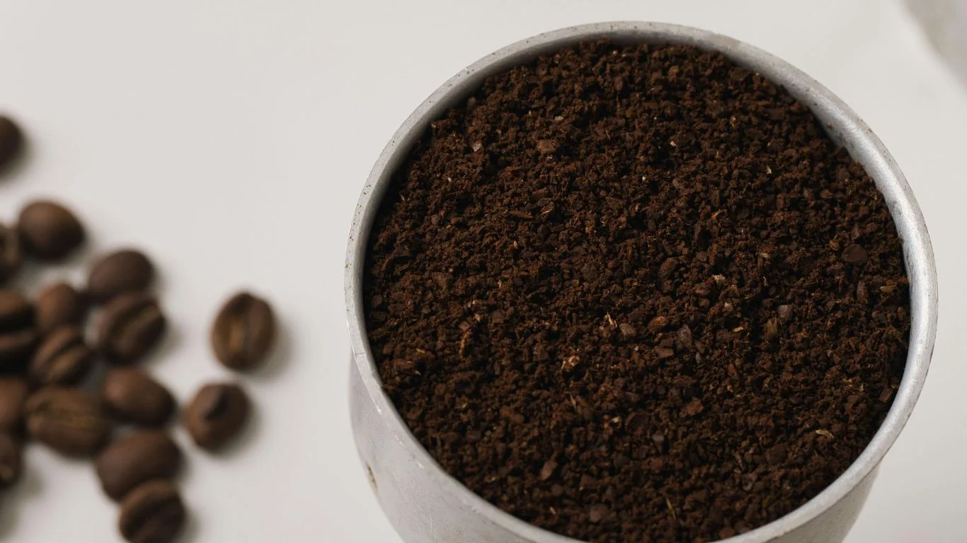 How to Tell If Your Coffee Is Fresh: A Quick Guide