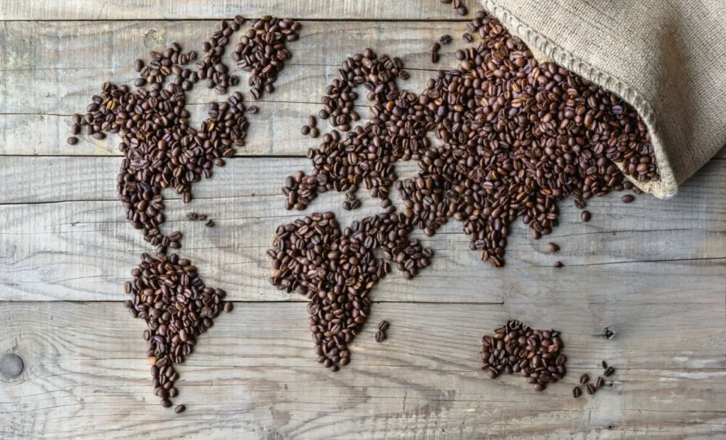 World of Specialty Coffee Beans