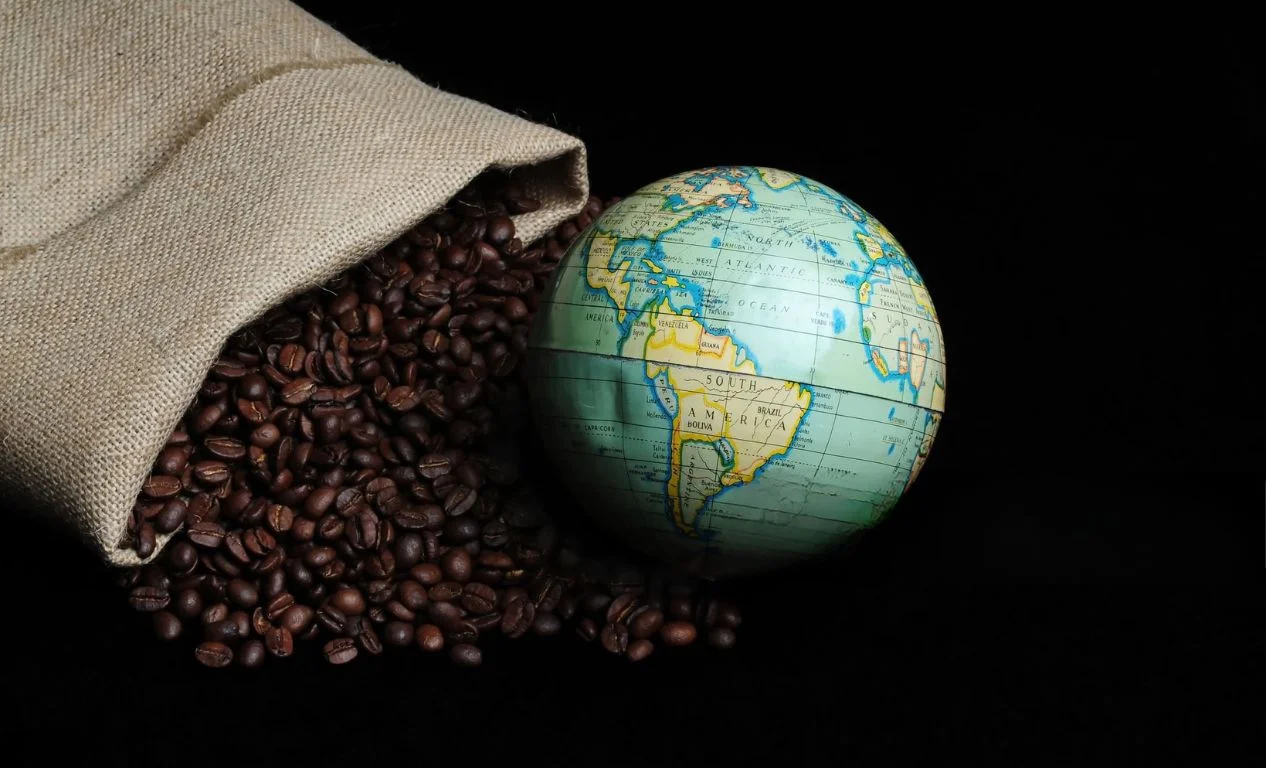 Exploring the World of Specialty Coffee Beans