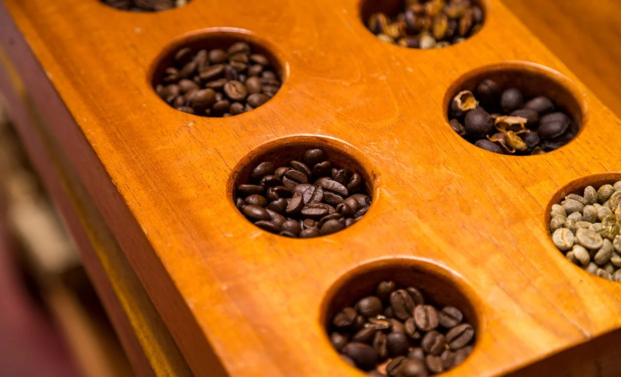 Exploring the World’s Most Expensive Coffee Beans